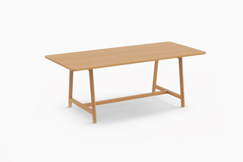 Mesa FRAME